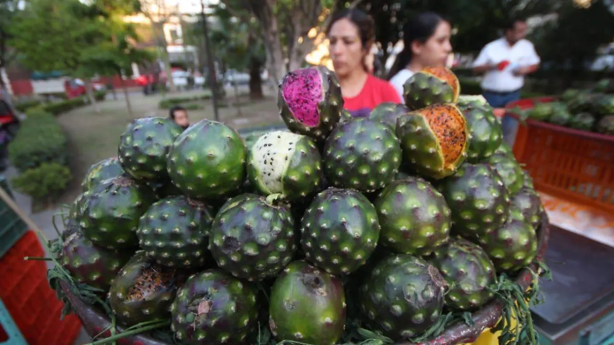 Venta de pitayas en el Jardín Mexicaltzingo